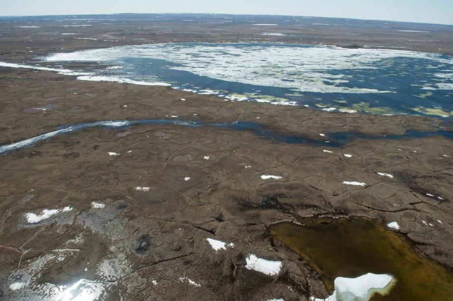 Oregon State University and University of Michigan researchers discovered that a key combination of sunlight and microbes can convert permafrost organic matter in the Arctic to carbon dioxide. May 28, 2016 (Photo courtesy Rose Cory, University of Michigan) creative Commons license via Flickr