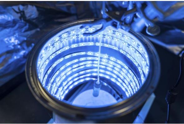 At the University of Central Florida, Professor Fernando Uribe-Romo's blue LED photoreactor breaks down CO2. (Photo by Bernard Wilchusky / UCF) Posted for media use