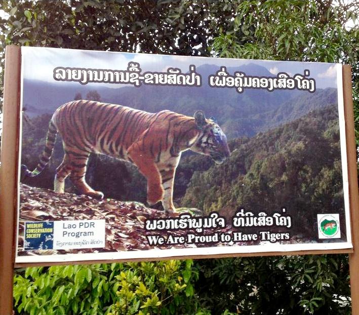 A sign publicizing the conservation effort in the Nam-Et-Phou Louey National Protected Area. July 2014 (Photo by David McKelvey / Wildlife Conservation Society)