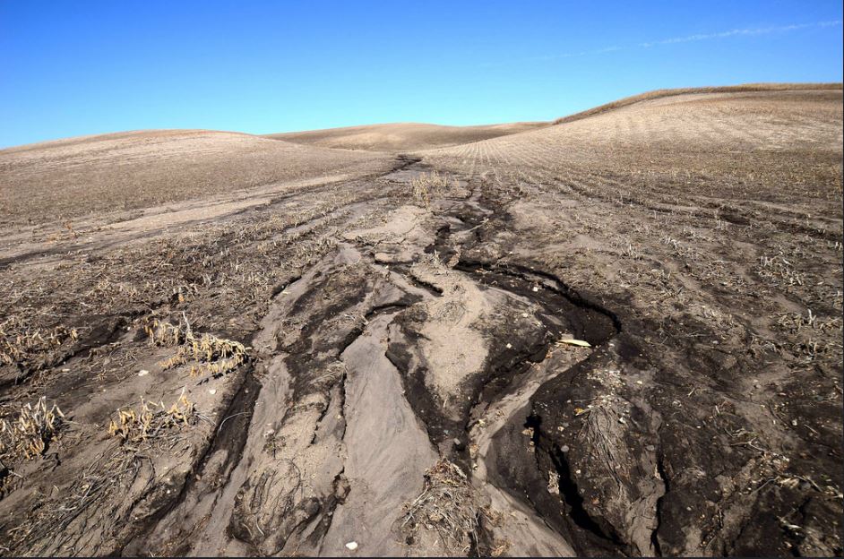 Excessive erosion on the U.S. Prairie. An inch of soil can take hundreds of years to form, but it can be swept away in a few seasons. Sediment loads in rivers silt up fish spawning beds, degrade drinking water quality, and cause silting of productive estuaries and reservoirs. March 27, 2017 (Photo by Rick Bohn / U.S. Fish & Wwildlife Service) Public domain