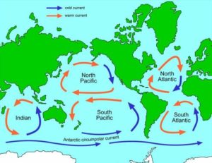 Map of the five ocean gyres of the world where ocean plastic accumulates. (Map by The University of Waikato) Posted for media use