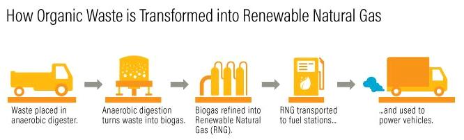 The five-step process of transforming wet organic waste into renewable natural gas is straightforward. (Image courtesy World Resources Institute) Creative Commons license
