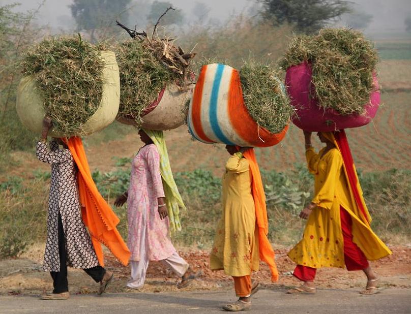 Women bear their burdens in rural Rajasthan, India, November 18, 2008 (Photo by Richard Evea) Creative Commons license via Flickr