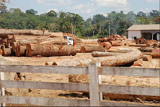 An illegal timber site in the state of Rondonia, Brazil, July 6, 2007 (Photo by Joelle Hernandez) Creative Commons license via Flickr