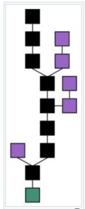 Blockchain formation. The main chain, black, consists of the longest series of blocks from the green genesis block to the current block. Purple orphan blocks exist outside of the main chain. (Diagram courtesy Wikipedia) Creative Commons license.