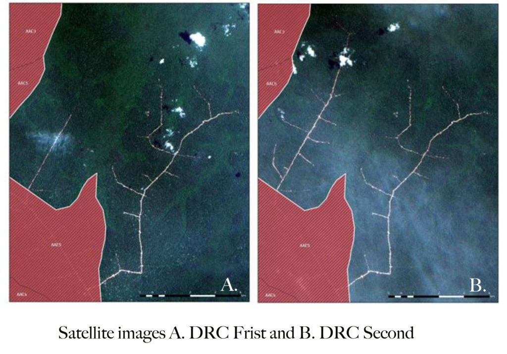 A. Satellite images showing growth of logging roads  during a period when IFCO’s operations were suspended by authorities. This first image is from March 11, 2018. (Image courtesy Global Witness) B. This image from April 20, 2018 shows the extension of logging roads in the same location as the first image during a period when IFCO’s operations were suspended by authorities. (Image courtesy Global Witness)