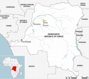 This map shows the location of IFCO's Baulu concession in yellow and the DRC's location in Africa. (Map courtesy Global Witness) Posted for media use.