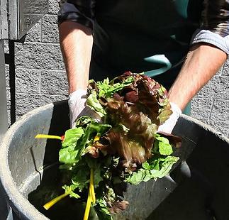 Prevent Food Waste - Salad Garbage