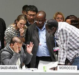  COP25 delegates engage in informal consultations on the development and transfer of technologies. December 6, 2019, Madrid, Spain (Photo courtesy Earth Negotiations Bulletin)