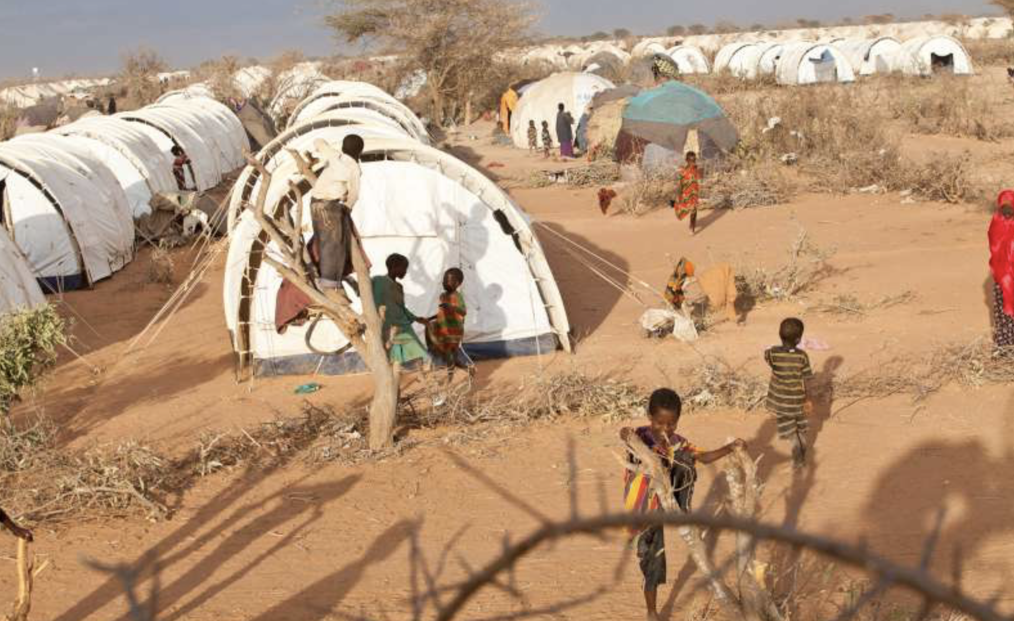 Somali refugee children play around their shelters in Kenya's Dadaab refugee camp, third largest in the world. 2015 (Photo by B. Bannon courtesy UNHCR)