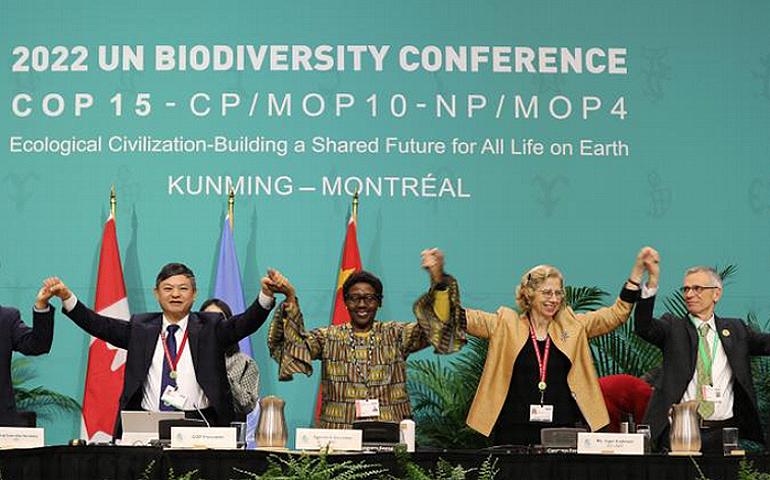 COP15 Convention on Biological Diversity closing celebration for the Global Biodiversity Framework adopted after two weeks of negotiating in Montreal, Canada. From left: COP 15 President Huang Runqiu, Minister of Ecology and Environment, China; Executive Secretary of the Convention on Biological Diversity Elizabeth Mrema; UN Environment Programme Executive Director Inger Andersen; David Cooper, CBD Deputy Executive Secretary. December 19, 2022 (Photo courtesy Earth Negotiations Bulletin). Creative Commons license via Earth Negotiations Bulletin.